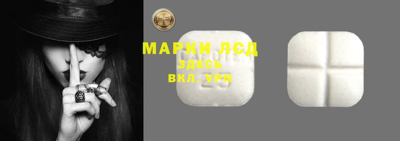 a pvp Гусев