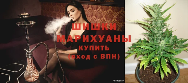 прущая мука Нея