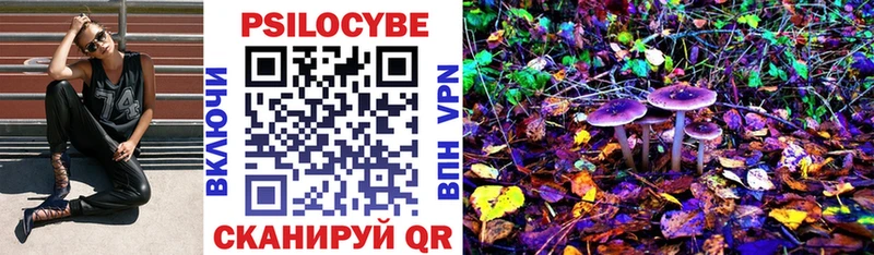 Галлюциногенные грибы Psilocybine cubensis  Певек 